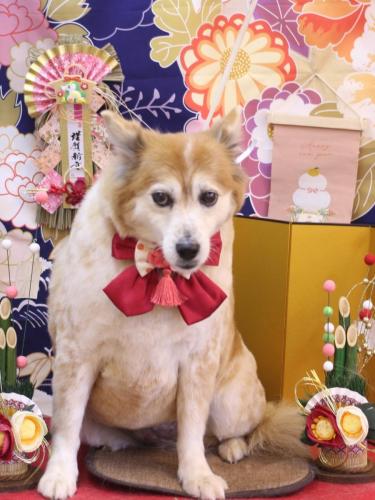 20240125ボニーちゃん